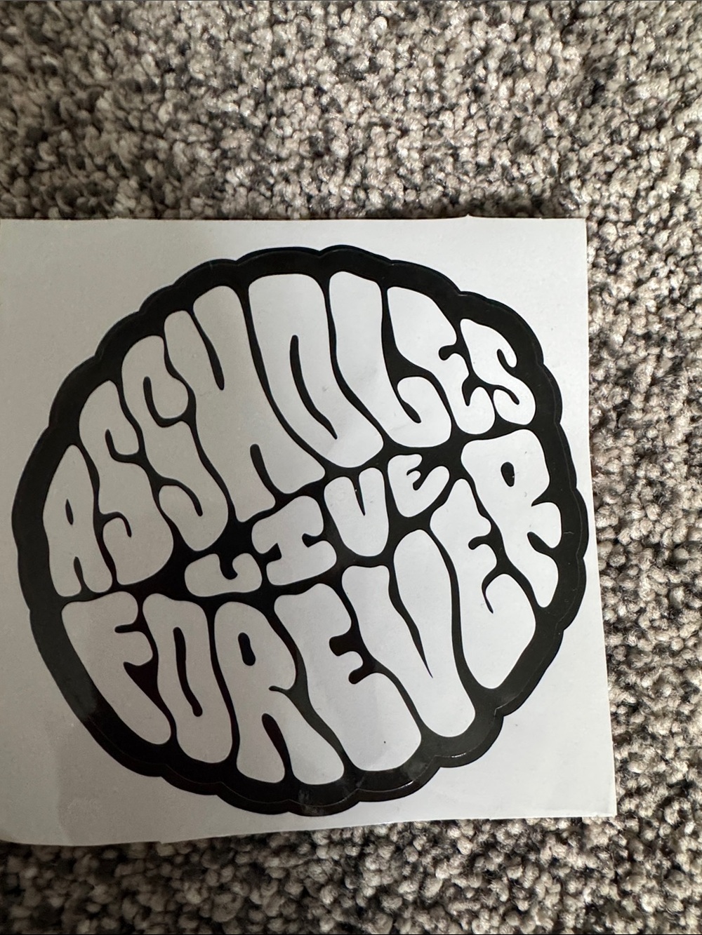 Huge Assholes Live Forever Lot - bag, hats, belt, shoes, shirt - Picture 8 of 8